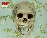 Moby - Bodyrock