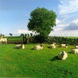 Various artists - Chill Out! disk 1
