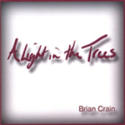Brian Crain - A Light In The Trees