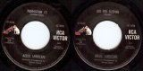 Aerial Landscape - Proposition 13/Are You Sleeping (US)