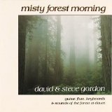 David & Steve Gordon - Misty Forest Morning