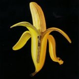 The Dandy Warhols - Welcome To The Monkey House
