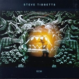 Steve Tibbetts - The Fall of Us All