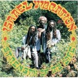 Israel Vibration - Strength of My Life