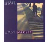 Andy Narell - Little Secrets