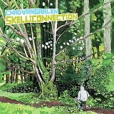 Chad Vangaalen - Skelliconnection