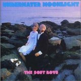 The Soft Boys - Underwater Moonlight