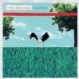 The Features - The Beginning