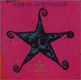 Hitchcock, Robyn - A Star for Bram