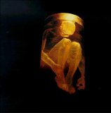 Alice In Chains - Nothing Safe: The Best Of The Box [ECD]