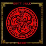Gov't Mule - Dose