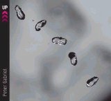 Peter Gabriel - Up [ECD]