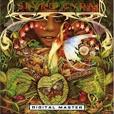 Spyro Gyra - Morning Dance