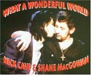 Nick Cave & Shane Mcgowan - What a Wonderful World
