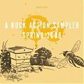 Various artists - A Rock Action Sampler Spring 2008