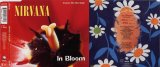 Nirvana - In Bloom [Single]