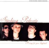 Stinking Polecats - A Song For Your Boyfriend