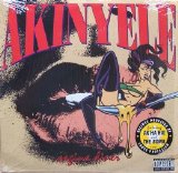 Akinyele - Vagina Diner