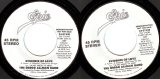 The Gregg Allman Band - Evidence Of Love/Evidence Of Love (US Promo)