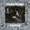 Sea Urchins - Stardust