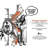 DJ Shadow - You Can't Go Home Again
