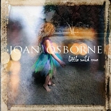 Joan Osborne - Little Wild One