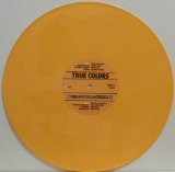 True Colors - Focus on the Light