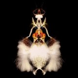 Bola - Fyuti
