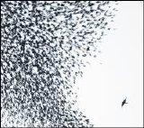 Wilco - Sky Blue Sky