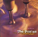 The Posies - Frosting On The Beater