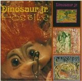Dinosaur Jr - Fossils