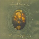 Sparklehorse - It's A Wonderful Life