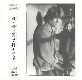 Sonic Youth - Hold That Tiger