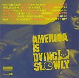 Various artists - America Is Dying Slowly