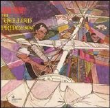 John Fahey - The Yellow Princess