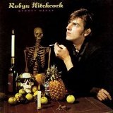 Robyn Hitchcock - Groovy Decay