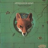 Steeleye Span - Tempted And Tried