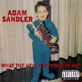 Adam Sandler - What The Hell Happened To Me