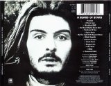 T. Rex - A Beard of Stars