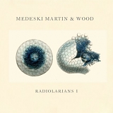 Medeski, Martin & Wood - Radiolarians 1
