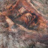 Converge - Unloved And Weeded Out