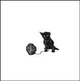 Kiss the Anus of a Black Cat - Interlude to the Outermost