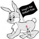 Diego's Hot Balloon Ride - Meet Mr. Baseball Bat