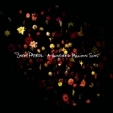 Snow Patrol - A Hundred Million Suns [Deluxe Edition] [CD + DVD]
