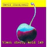 David Fiuczynski - Black Cherry Acid Lab
