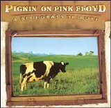 Various artists - Pickin On Pink Floyd