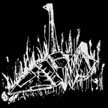 Men As Trees - Warred On By Cranes