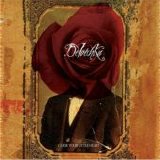 DeVotchKa - Curse Your Little Heart