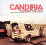 Various artists - What Doesn't Kill You...