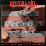 Bird of Ill Omen - Self, Dare You Still Breathe?